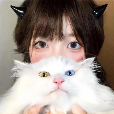 女子推理社第二季 在线观看封面