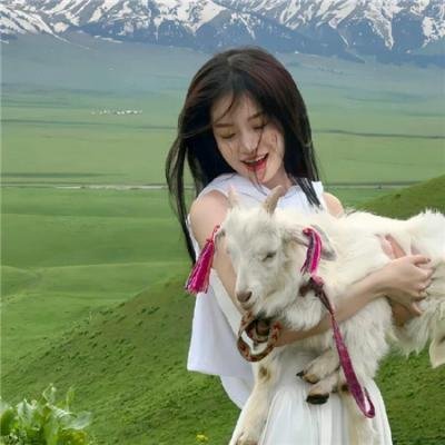 重生之门 在线观看封面